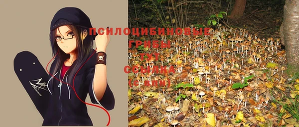 твердый Беломорск