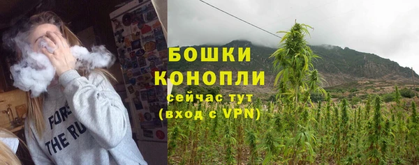 mdpv Белокуриха