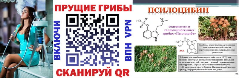 Галлюциногенные грибы Psilocybe  Купить  Белая Холуница 